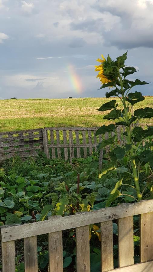 Camping La Petite Houmee Curzay-sur-Vonne Esterno foto